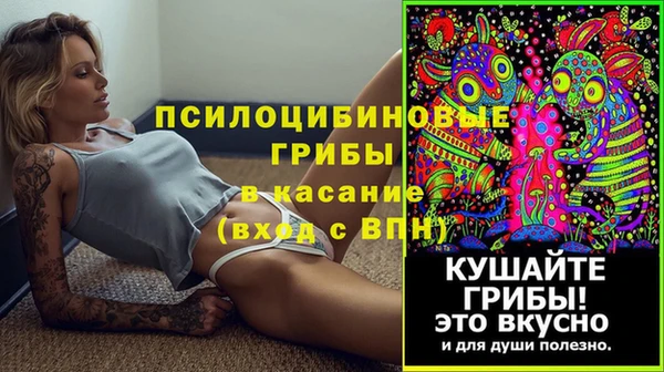 эйфоретик Карпинск