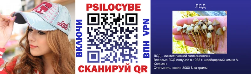 KRAKEN рабочий сайт  Эртиль  Псилоцибиновые грибы Psilocybine cubensis 